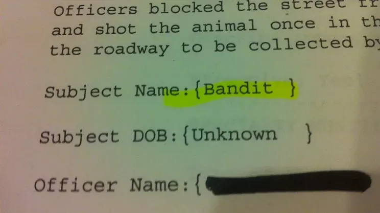 Halifax police are mostly shooting deer