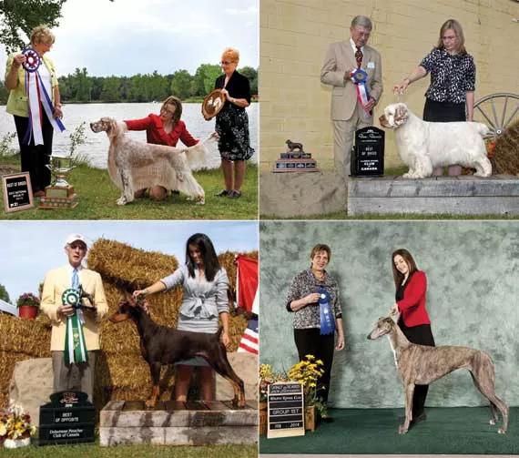 Dartmouth Kennel Club members that have performed well nationally.
