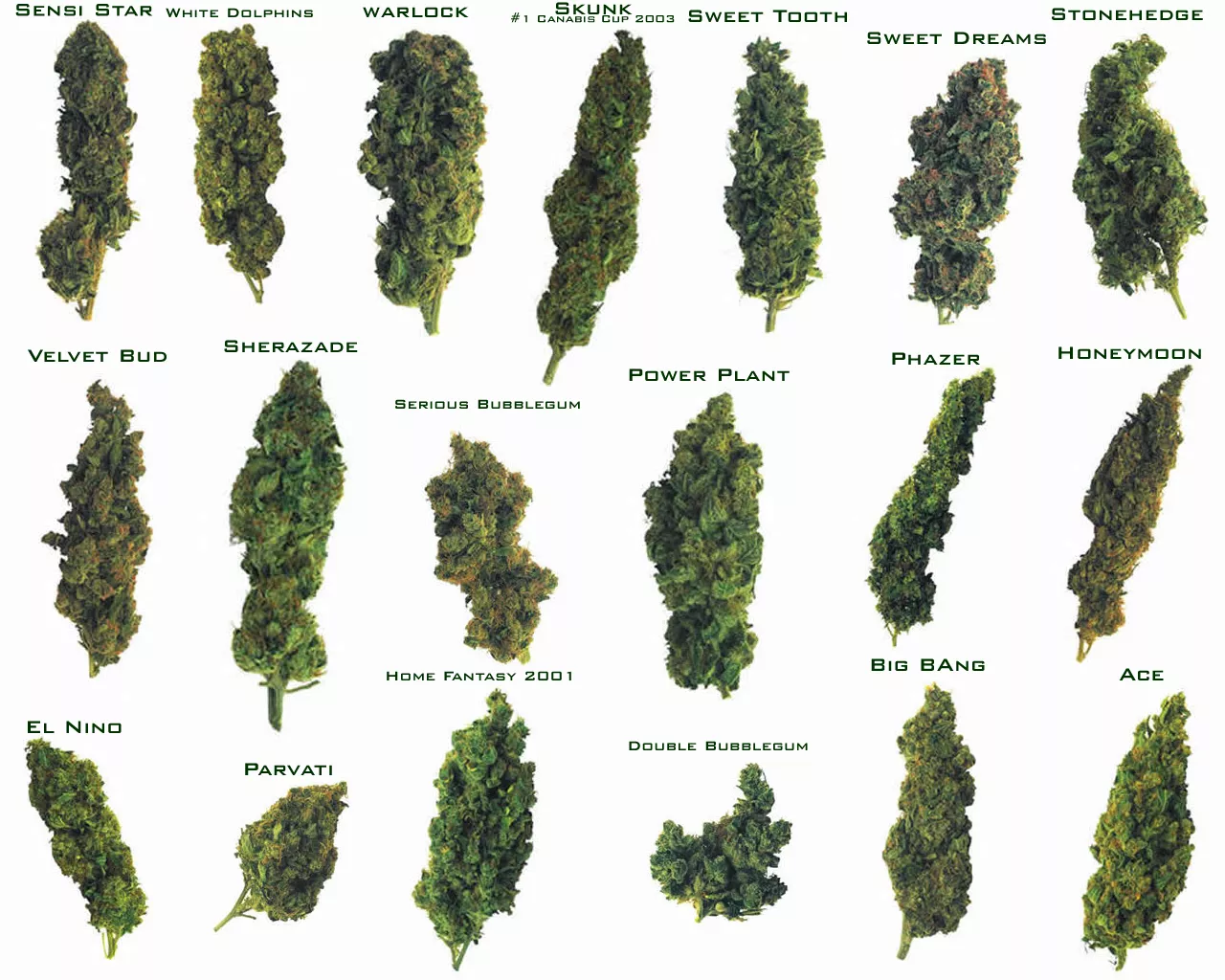 weed_chart.jpg