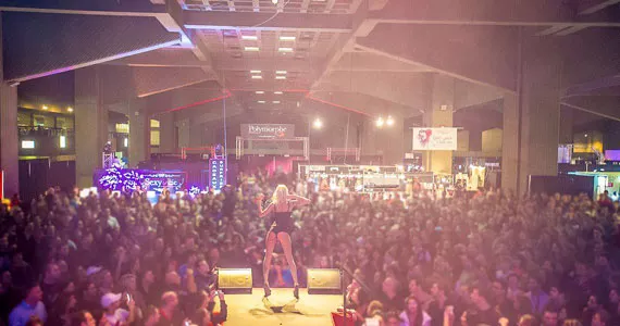 Have a sexy time at the Everything to Do with Sex Show