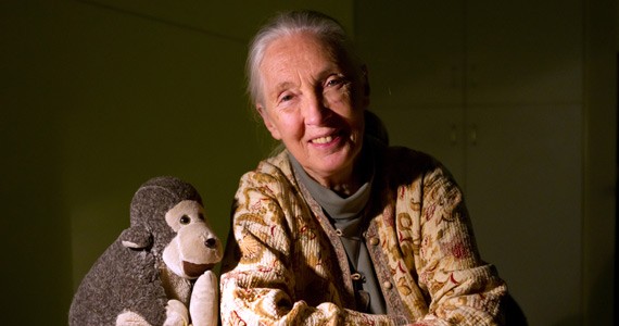 Jane Goodall’s good work