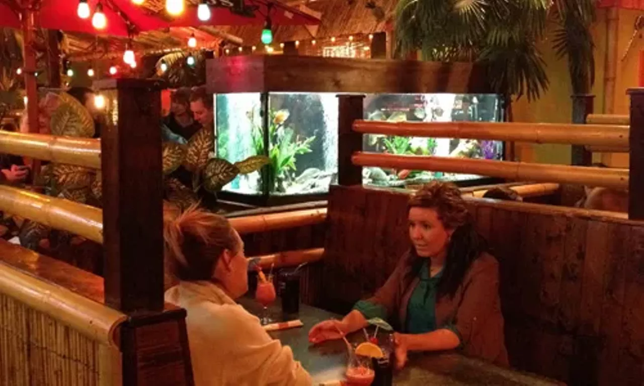 Jungle Jim's Eatery Bayers Lake/Fairview/Clayton Park Burgers