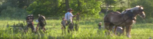 Levi and some of the kids unharness the horses