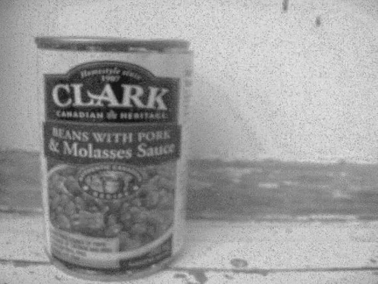 Rafiki | Halifax, Nova Scotia | THE COAST