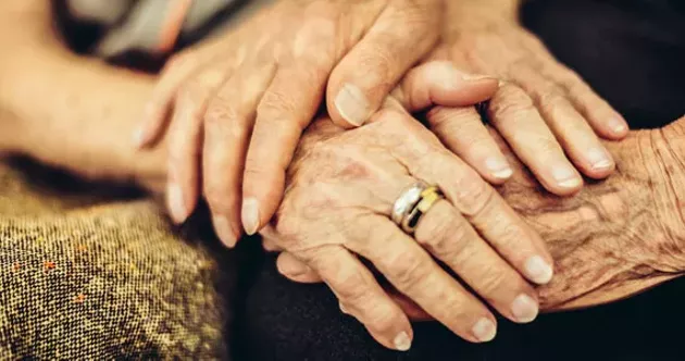 egg carton code dating