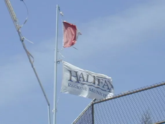tattered_flag.jpg