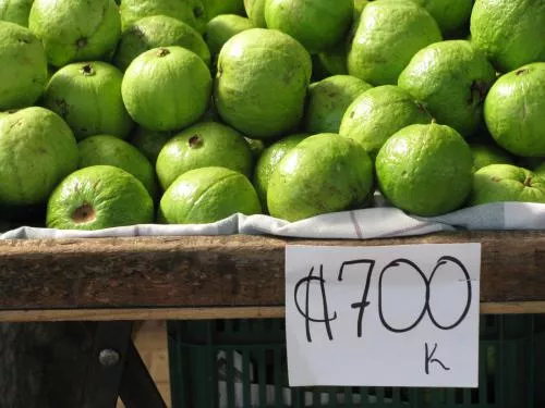 market_012.jpg