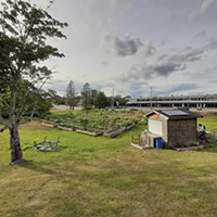 Common Roots Urban Farm sows its seeds