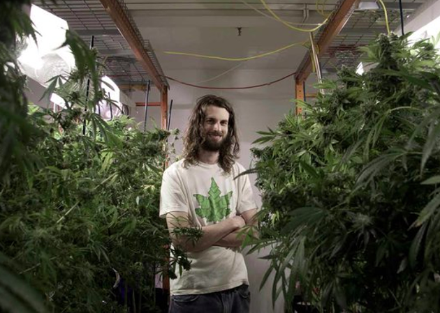 Crown drops charges against cannabis club owner