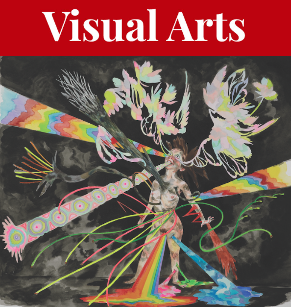 Shary Boyle and Emily Vey Duke spent a decade collaborating verses and drawings for the sprawling storytelling of The Illuminations Project at the AGNS. - EMILY VEY DUKE ARTWORK