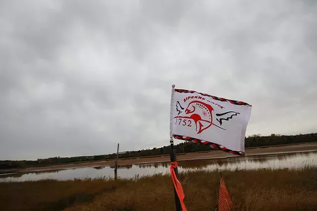 The Sipekne'katik flag waves at the proposed Alton Gas brine storage site. - TORI BALL