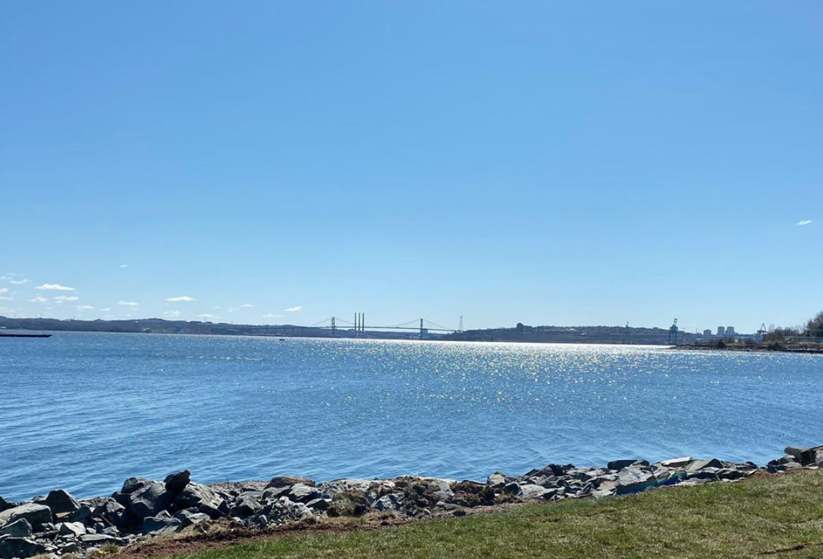 The view from Birch & Anchor, the new beer garden set to open later in June. - BIRCH & ANCHOR INSTAGRAM