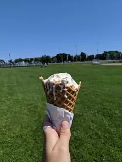 Dee Dee's mint chocolate chip, mid-melt. - SUBMITTED