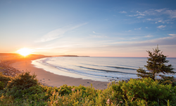 Lawrencetown Beach is a surfer's paradise. - DISCOVER HALIFAX