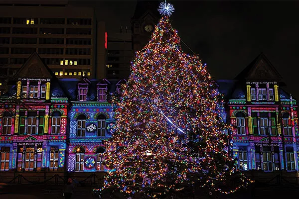 The Evergreen Festival's Evergreen Bright is a fun, socially distant way to enjoy the city this year. - KYLA MACKINNON