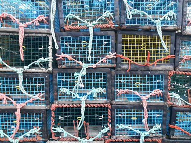 Lobster livelihood fishery talks hit bottom