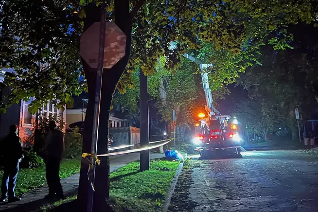 Will Halifax’s trees survive the next hurricane?