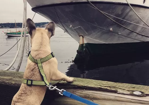 "So I saw my first boat today! I want one!" - VIA JEAN T RALPHIO ON INSTAGRAM