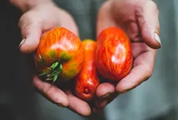 Fresh pickings from HighLand Farm, at the Historic Farmers' Market - SAM KEAN