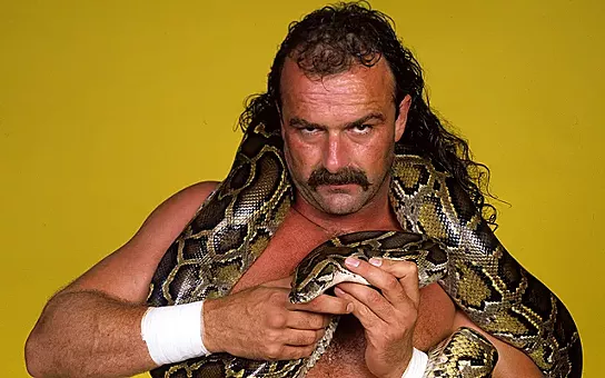 Jake "The Snake" Roberts