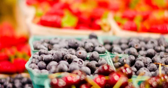 Best of Halifax 2015, Best Farmers' Market Stall, Noggins Farm, Halifax Seaport Farmers’ Market - SAM KEAN
