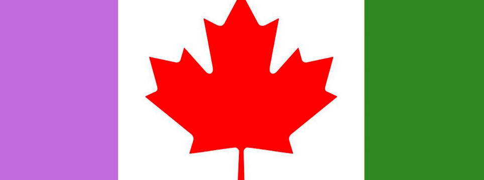 The long-form census won’t recognize non-binary Canadians