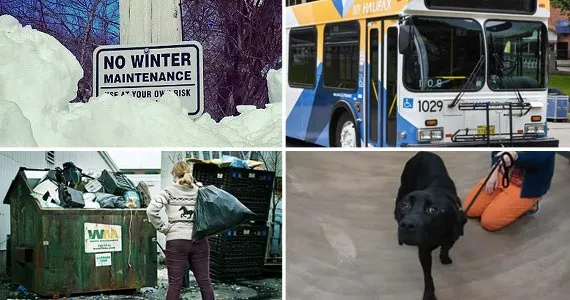 Everything residents are calling 311 to complain about