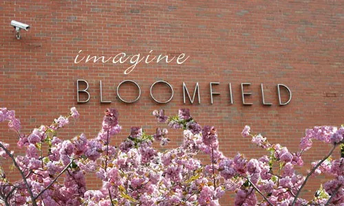Turns out Nova Scotia's government was more dreamers than doers when it came to imagining a future for Bloomfield.