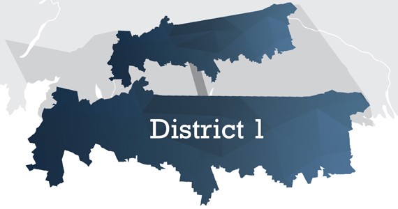 District 1 includes smaller suburban areas (Fall River, Waverley) and much larger rural stretches throughout Musquodoboit. Click here for HRM’s boundary description. - AKIRA ARRUDA