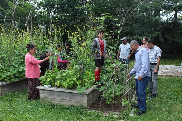 Gardeners from Nepal, Bhutan and Syria check to see what this plot, at the ISANS garden on Glenforest Drive, is producing. - VICTORIA WALTON
