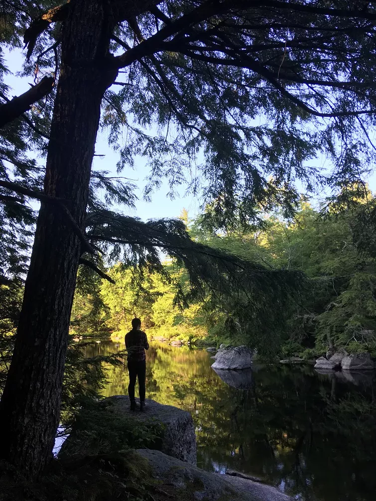 The Medway Community Forest Co-op is one example of sustainable forest management. - MARY JANE RODGER