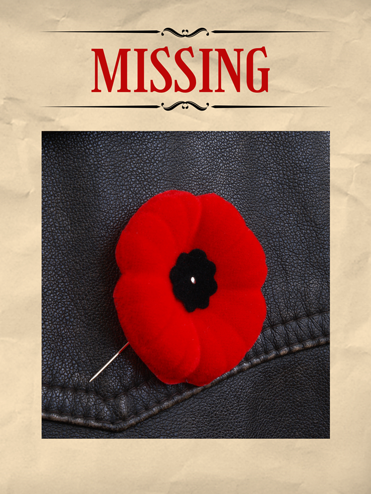 With or without the traditional poppy, Remembrance Day is Friday, November 11.