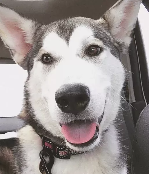 zoe.jpg