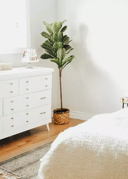 webbedroom.jpg