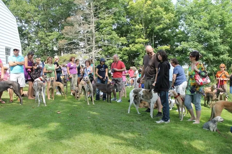 All-Breed Summer Extravaganza. - GREYHOUND PETS OF ATLANTIC CANADA