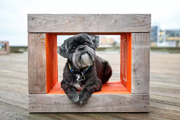 wetnose-9.jpg