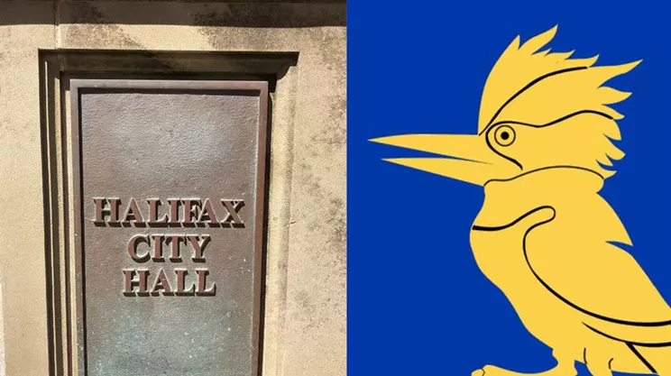 Everything you need to know about council's Dec 13 meeting