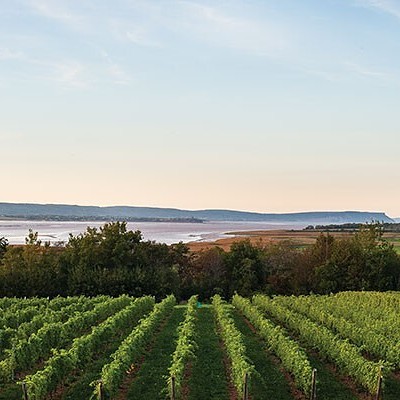 A guide to wining and dining at Nova Scotia vineyards this summer