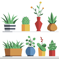Saint George's Annual Plants Sale