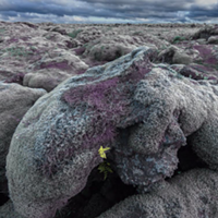 Fire under the ice: Landscapes of Iceland