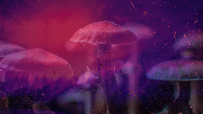Psychedelics are becoming big business. Is Nova Scotia ready? - Vimarsana News