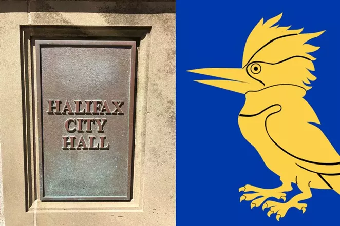 Everything you need to know about council's Dec 13 meeting - Vimarsana News