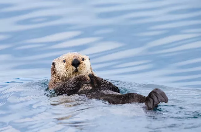 Science Matters Marine Protected Areas Are One Piece Of A - 