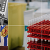 Population immunity targets are a major factor in re-opening the province. THE COAST & COMMUNICATIONS NOVA SCOTIA Population immunity targets are a major factor in re-opening the province. THE COAST & COMMUNICATIONS NOVA SCOTIA
