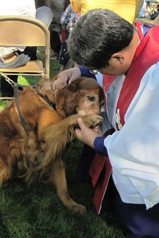 Blessing of the Animals Service