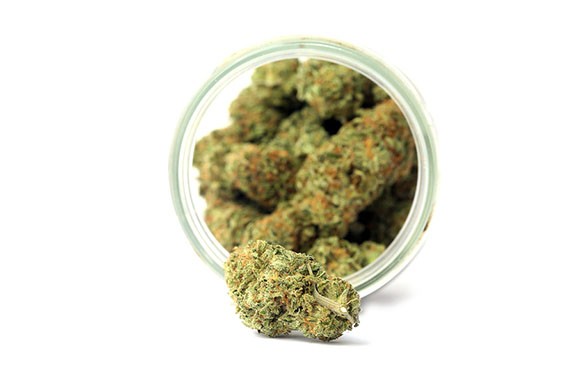 bigstock-marijuana-marijuana-buds-in-a-285931108.jpg