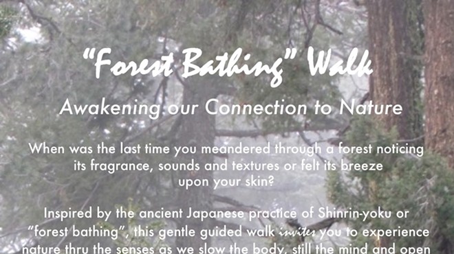 Awakening Our Connection to Nature - "Forest Bathing" Walk