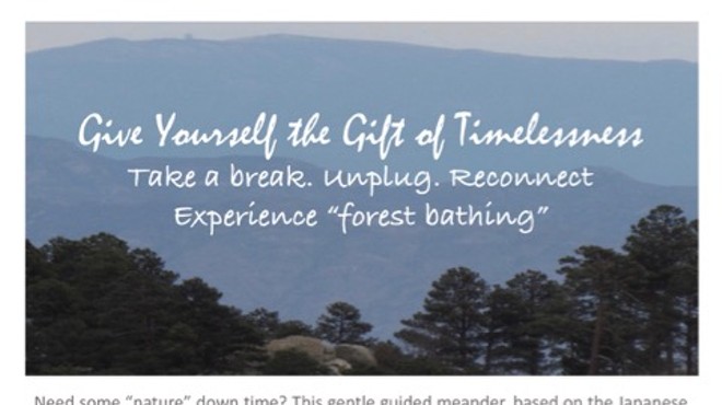 Give Yourself the Gift of Timelessness - Unplug. Reconnect. Experience Forest Bathing