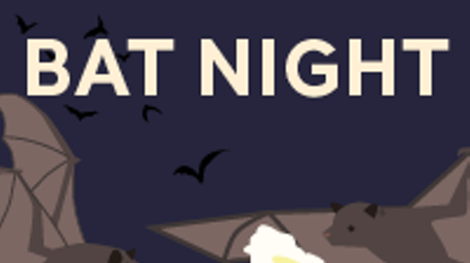 Bat Night (Cool Summer Nights)