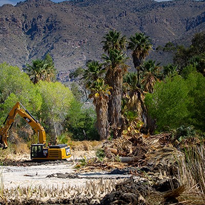 Agua Caliente Park closing for restoration Aug. 19